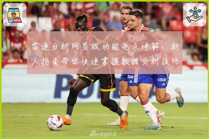 雷速分析网页版功能亮点详解，新人指南带你快速掌握数据分析技巧