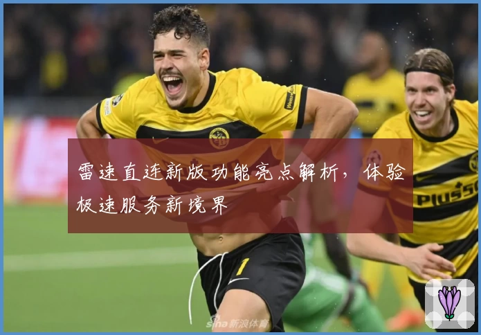 雷速直连新版功能亮点解析,体验极速服务新境界